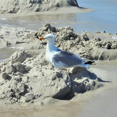 Ferienwohnungen/ferienzimmer Seidel 青斯特