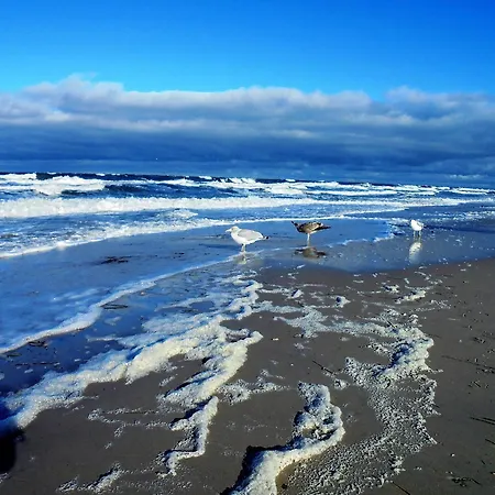 Διαμέρισμα Ferienwohnungen/ferienzimmer Seidel Zingst