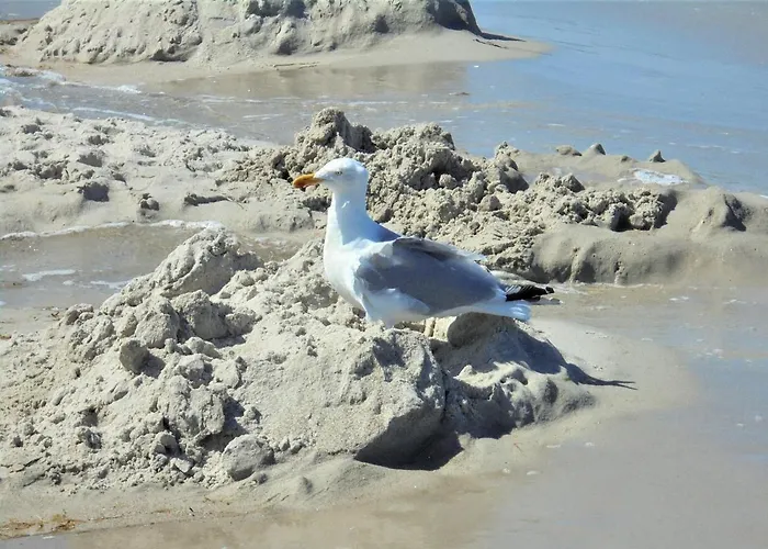 Ferienwohnungen/ferienzimmer Seidel ツィングシュト