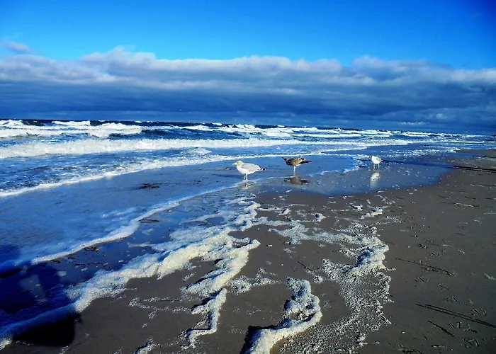 アパート Ferienwohnungen/ferienzimmer Seidel ツィングシュト
